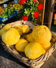 CASA AMALFI SOAPS: Scented Soap Bar with ceramic soap dish - Buongiorno Positano