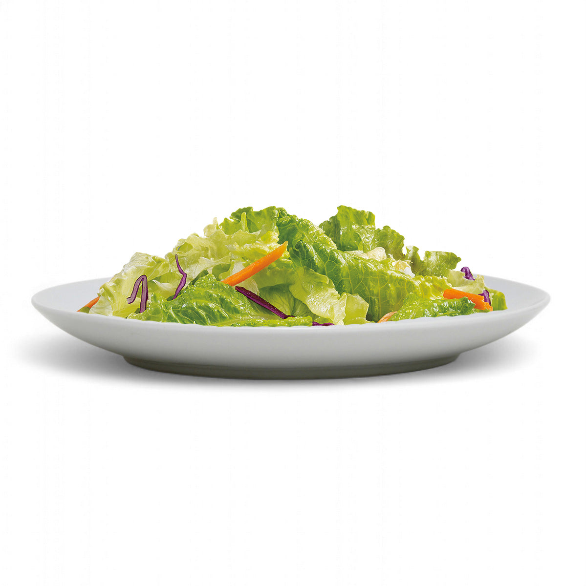 PORCELLAIN: Multi Purpose Dinner Plate/Shallow Bowl - Final Clearance Price - SET of 4 (10.25" Diam.)