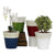 SCAVO COLORE: Small Cachepot Vase - Green/White - Artistica.com
