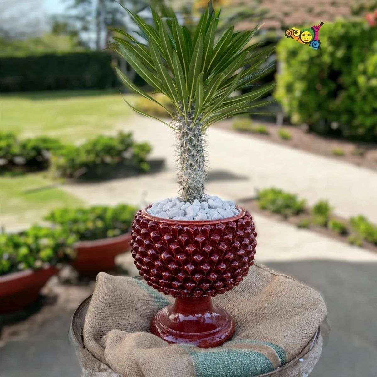 SICILIAN PINECONE: Footed Bowl/Planter/Vase - BURGUNDY RED