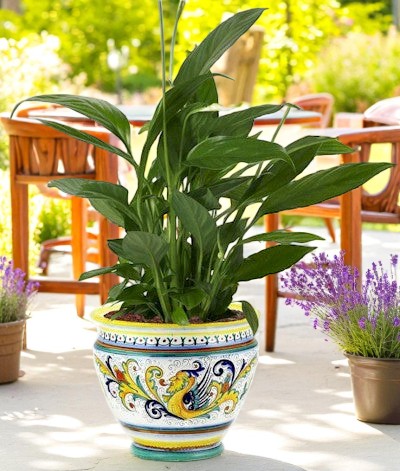 RAFFAELLESCO: Luxury Cachepot Planter LARGE - Artistica.com