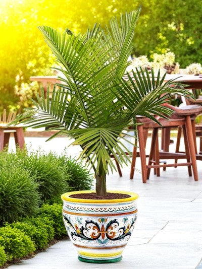 RICCO DERUTA DELUXE: Luxury Cachepot Planter LARGE