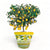 LIMONIERA PLANTER VASE: Large Cachepot-Planter for large plants and trees - Design  AMALFI