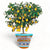 LIMONIERA PLANTER VASE: Large Cachepot-Planter for large plants and trees - Design ANGIOLETTO