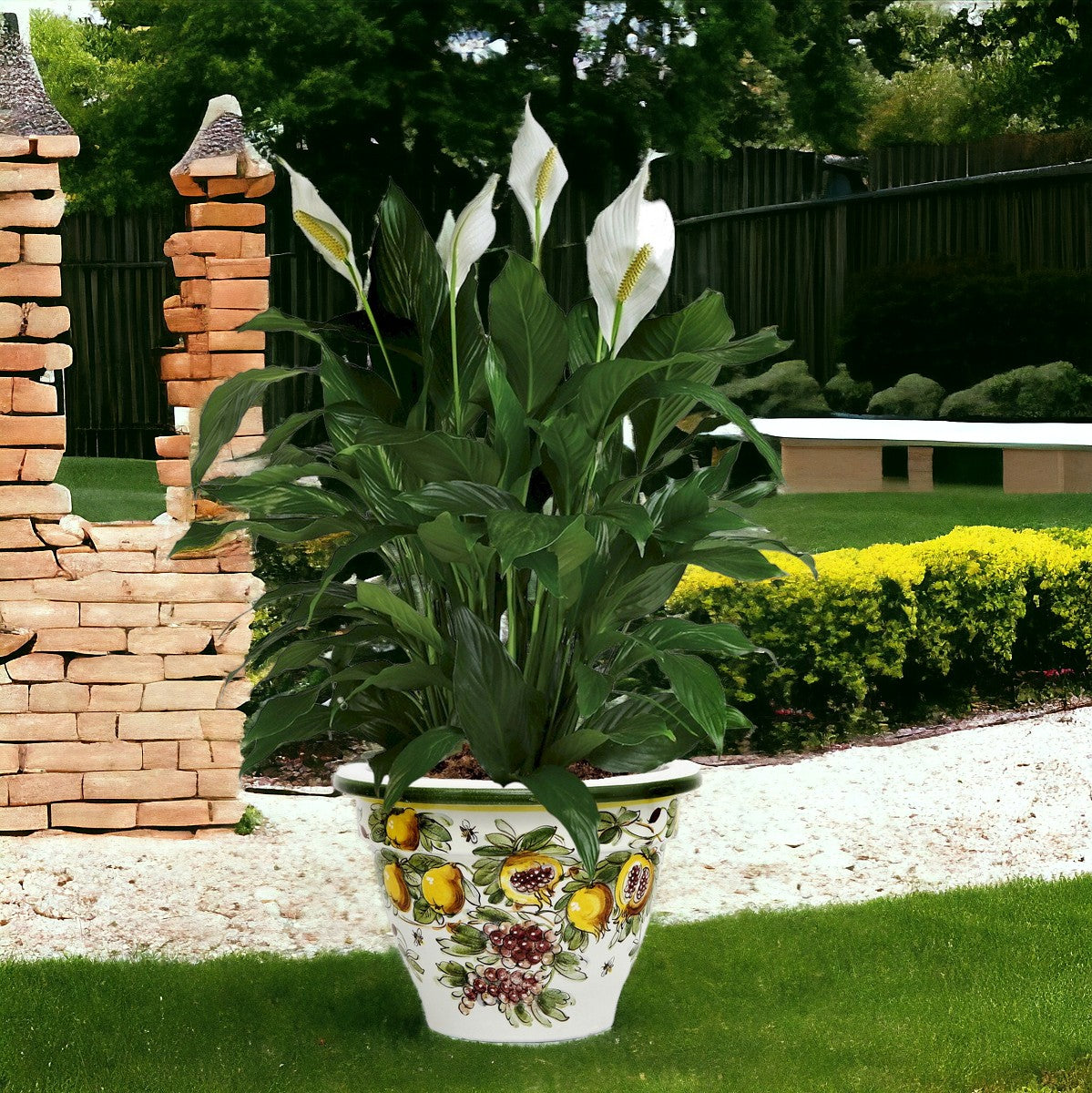 TOSCANA PLANTER: Round Tuscan planter/vase 'Campana' - Strong Terracotta indoor/outdoor freeze resistant - FRUTTA FONDO MIELE LIMONI Design