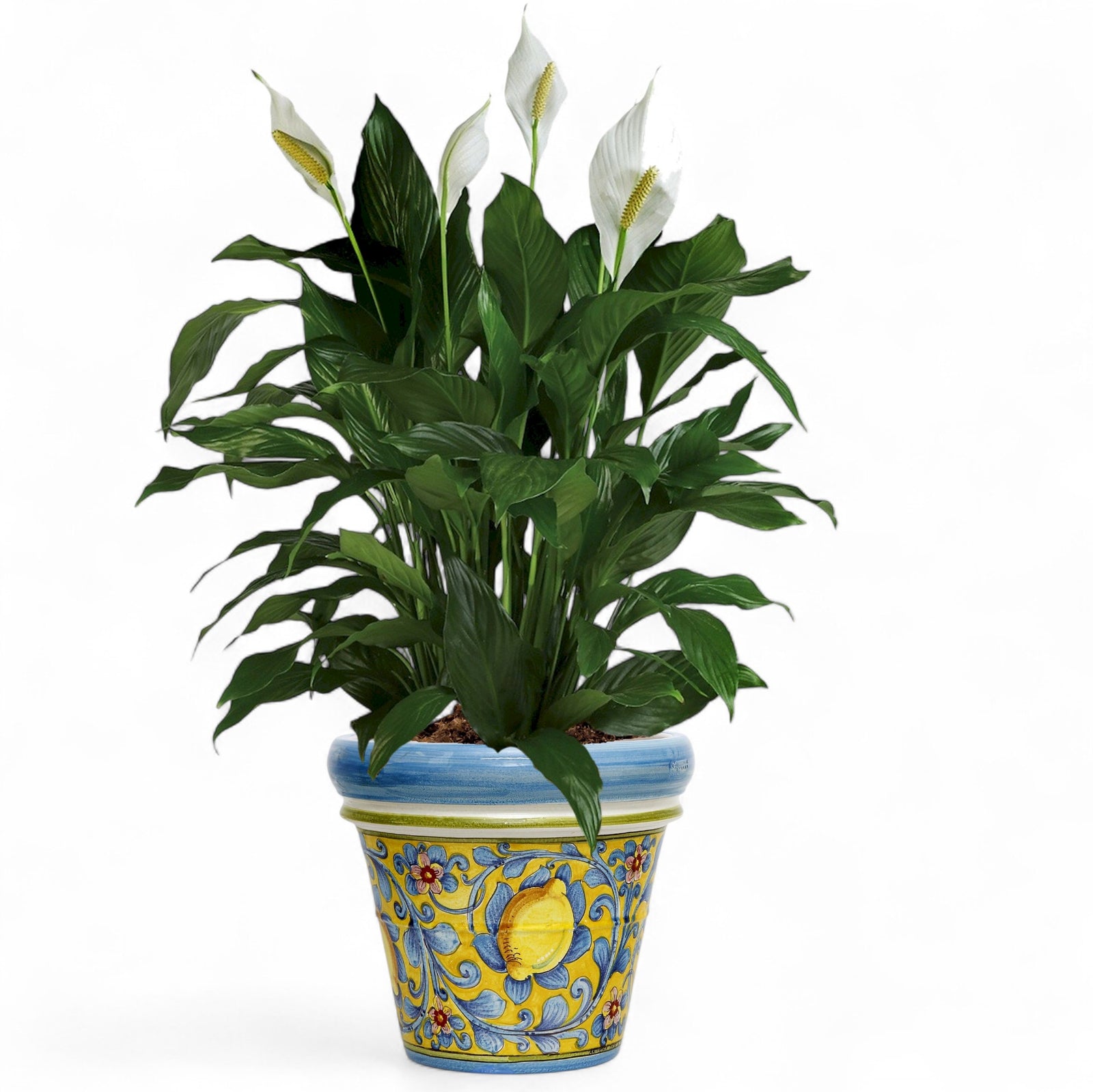 TOSCANA PLANTER: Large Round Tuscan Limoniera planter/vase 'Conca' - Strong Terracotta indoor/outdoor freeze resistant - CAPRI Design