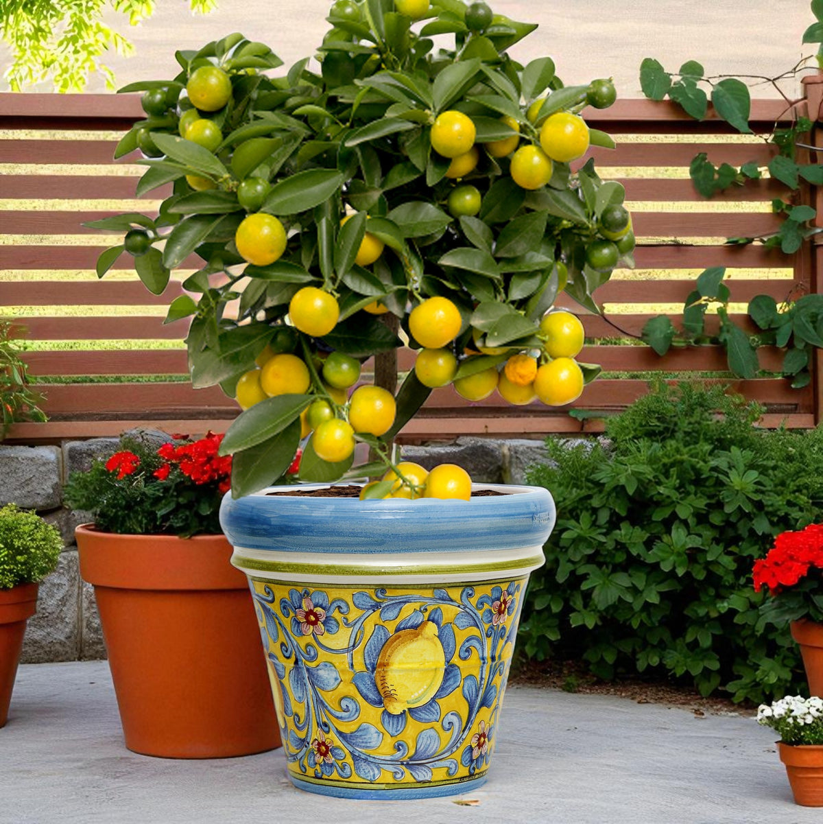 TOSCANA PLANTER: Large Round Tuscan Limoniera planter/vase 'Conca' - Strong Terracotta indoor/outdoor freeze resistant - CAPRI Design