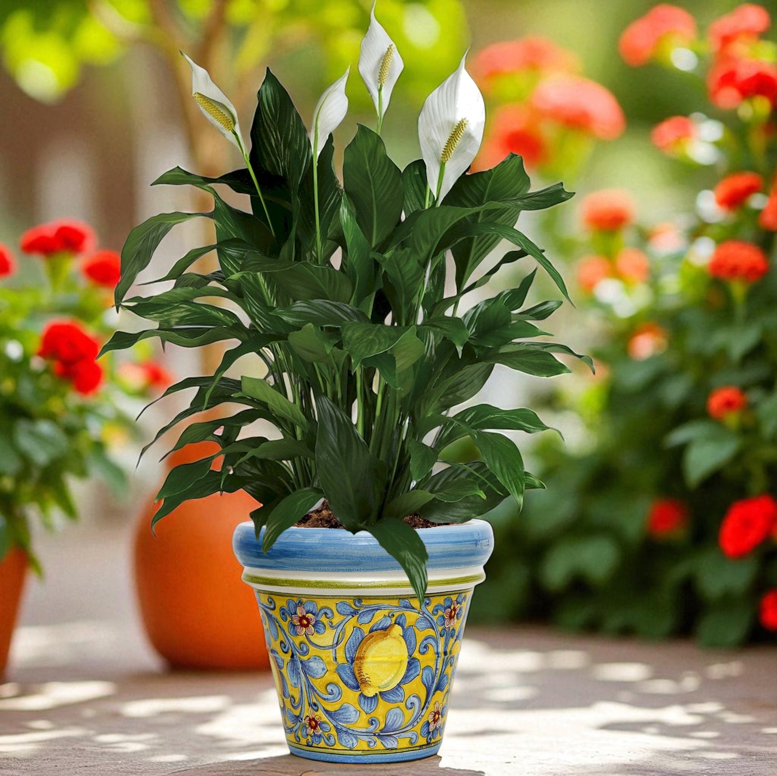 TOSCANA PLANTER: Large Round Tuscan Limoniera planter/vase 'Conca' - Strong Terracotta indoor/outdoor freeze resistant - CAPRI Design