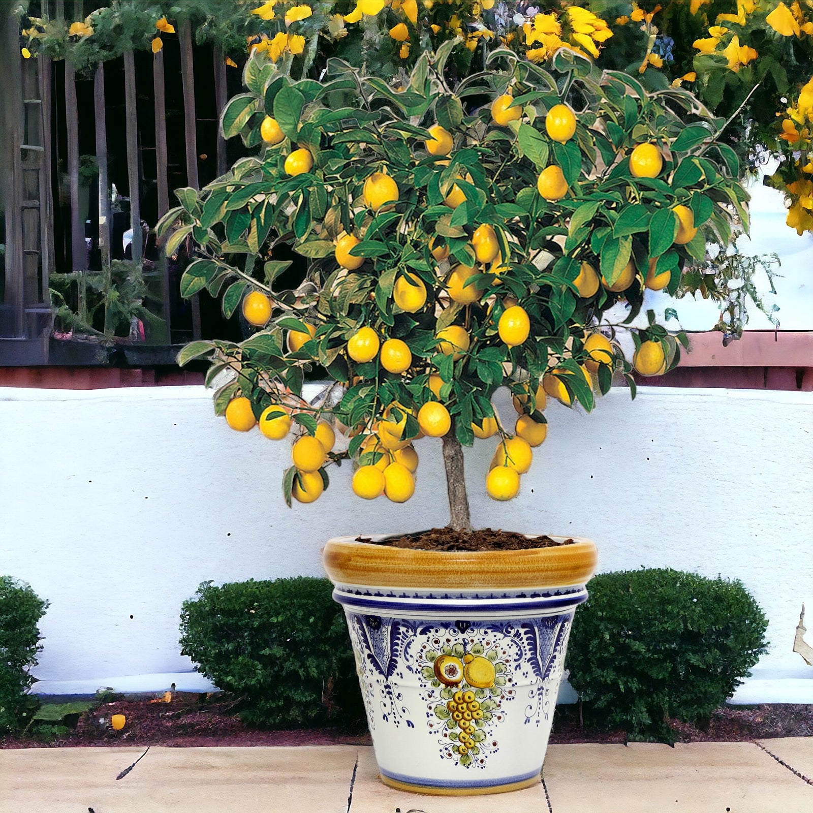 TOSCANA PLANTER: Large Round Tuscan Limoniera planter/vase 'Conca' - Strong Terracotta indoor/outdoor freeze resistant - FRUTTINA Design