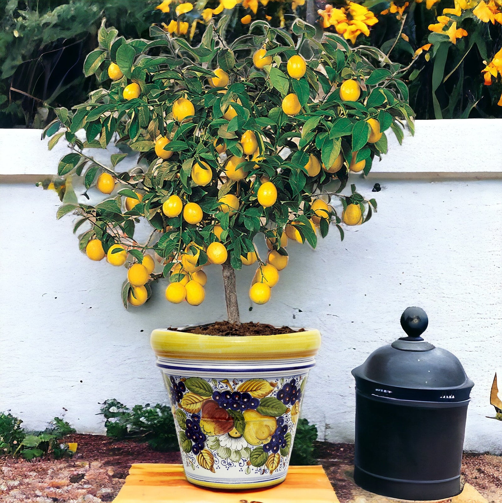 TOSCANA PLANTER: Large Round Tuscan Limoniera planter/vase 'Conca' - Strong Terracotta indoor/outdoor freeze resistant - FRUTTA Design