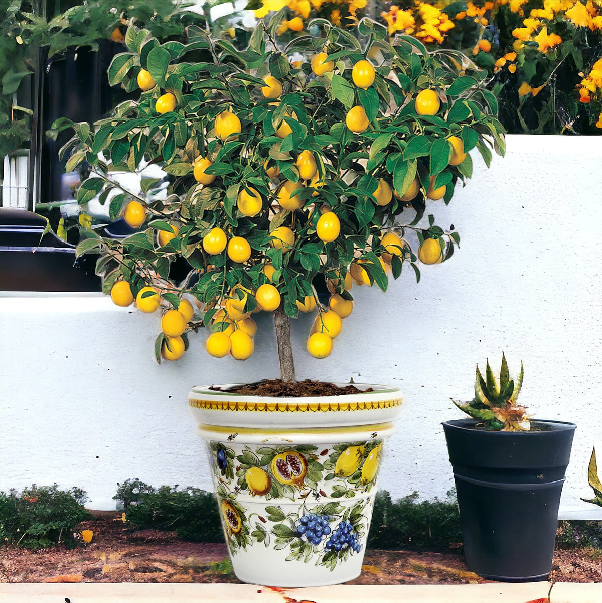 TOSCANA PLANTER: Large Round Tuscan Limoniera planter/vase 'Conca' - Strong Terracotta indoor/outdoor freeze resistant - FRUTTA FONDO MIELE LIMONI Design