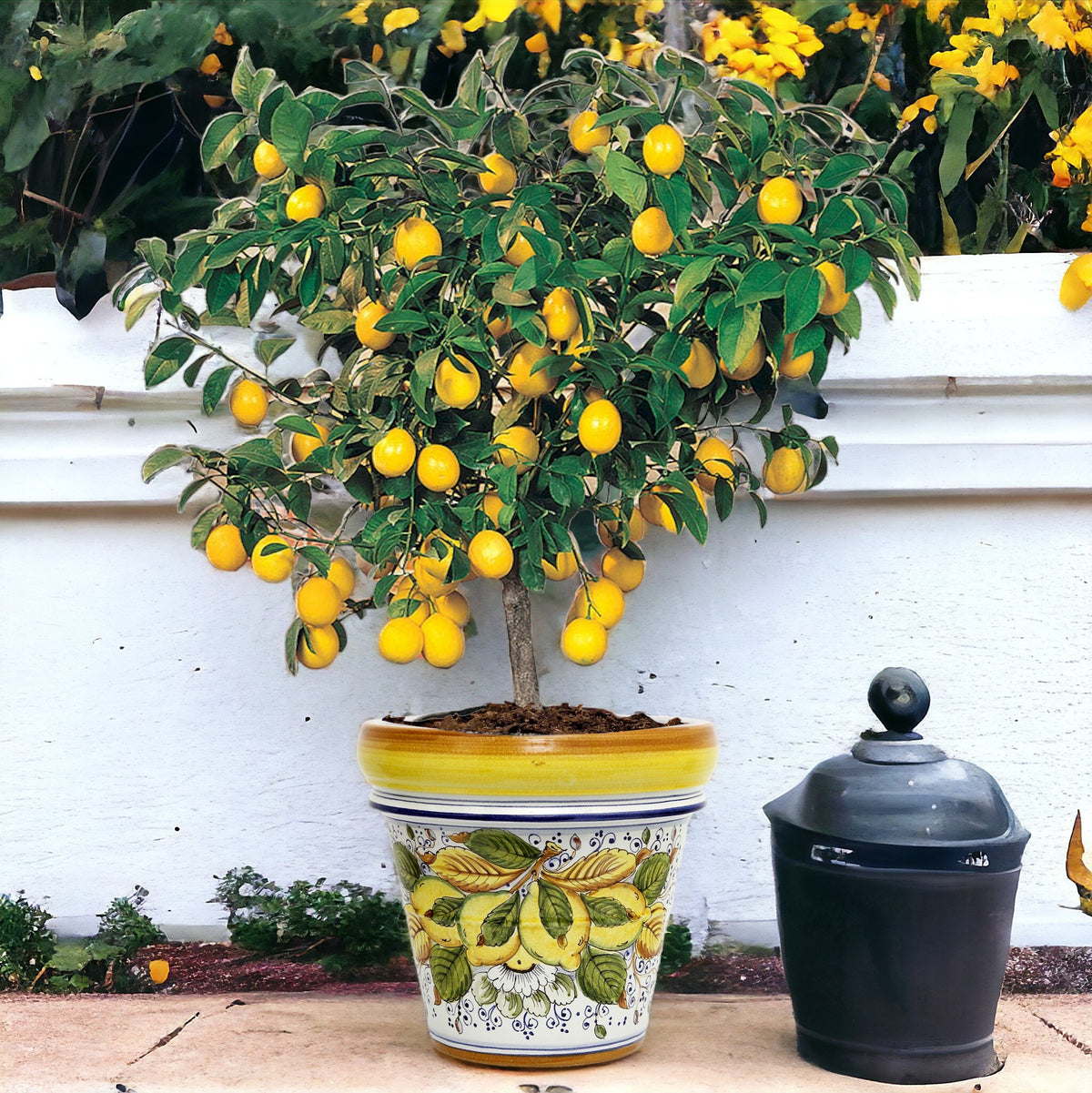 TOSCANA PLANTER: Large Round Tuscan Limoniera planter/vase 'Conca' - Strong Terracotta indoor/outdoor freeze resistant - POSITANO Design