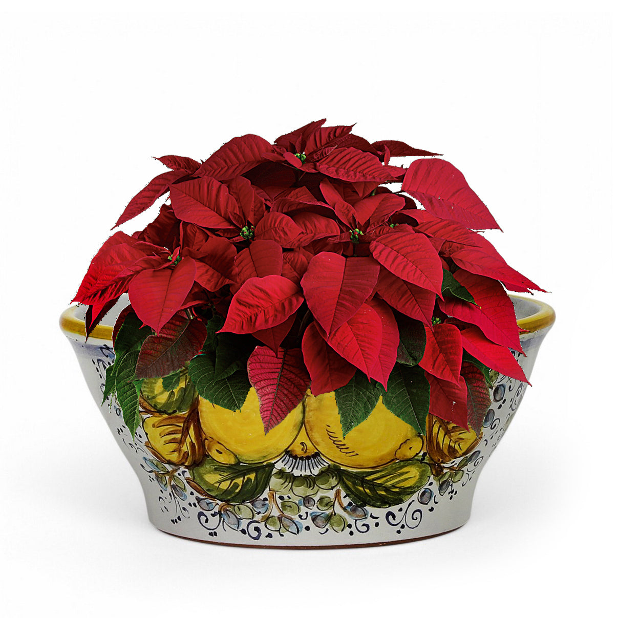 TOSCANA PLANTER CIOTOLA: Medium Round Tuscan Lown Bowl Planter 'Ciotolone' - Strong Terracotta indoor/outdoor freeze resistant - POSITANO Design