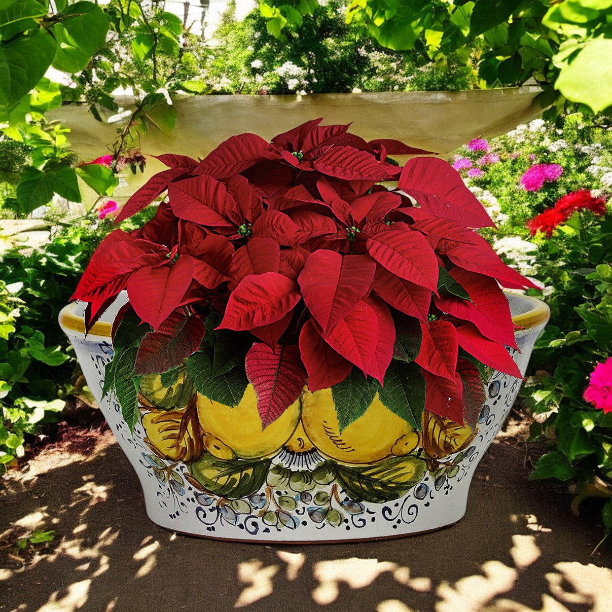 TOSCANA PLANTER CIOTOLA: Medium Round Tuscan Lown Bowl Planter 'Ciotolone' - Strong Terracotta indoor/outdoor freeze resistant - POSITANO Design