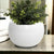 PURITY BOWL: Sphera Bowl fluted rim pure White