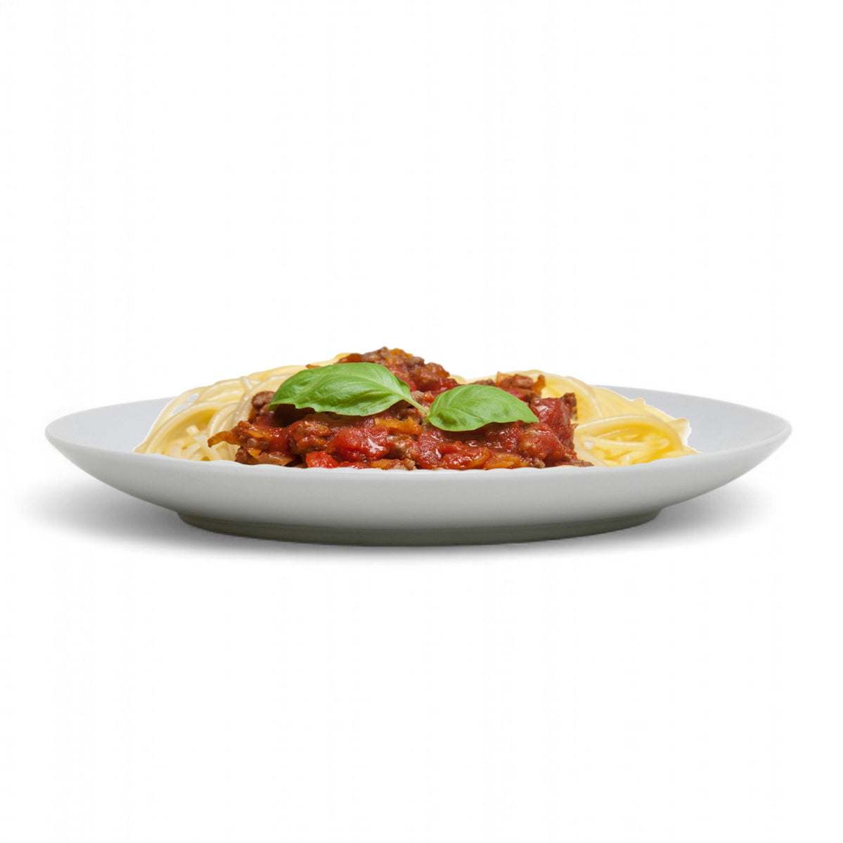 PORCELLAIN: Multi Purpose Dinner Plate/Shallow Bowl - Final Clearance Price - SET of 4 (10.25" Diam.)