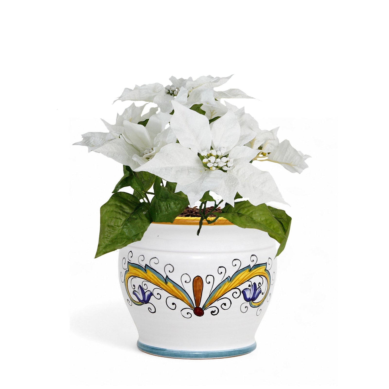 DERUTA PERUGINO: Outlet Special! Indoor-Outdoor Cachepot/Planter (Small)