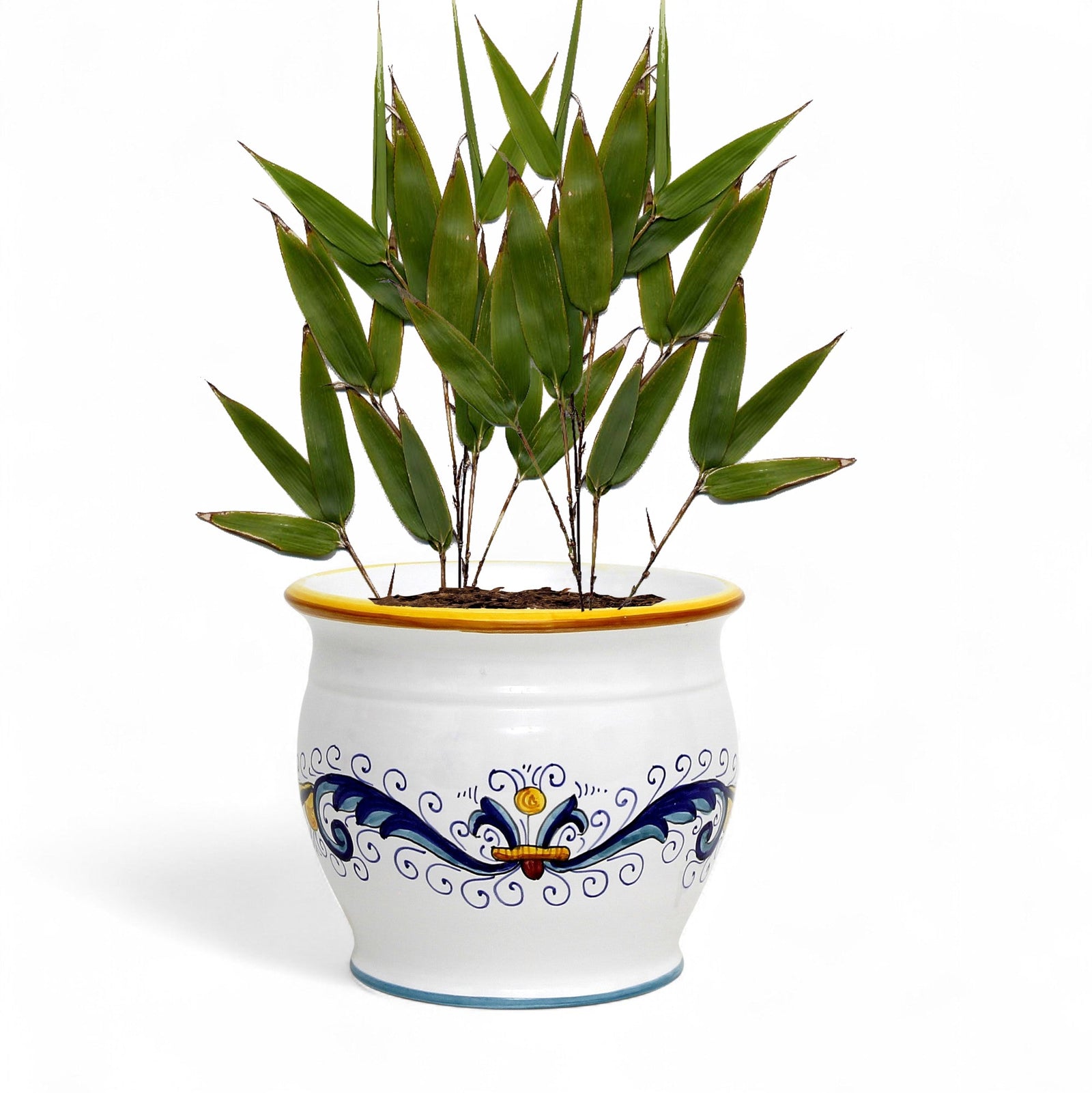 RICCO DERUTA: Outlet Special! Indoor-Outdoor Cachepot/Planter (Small)