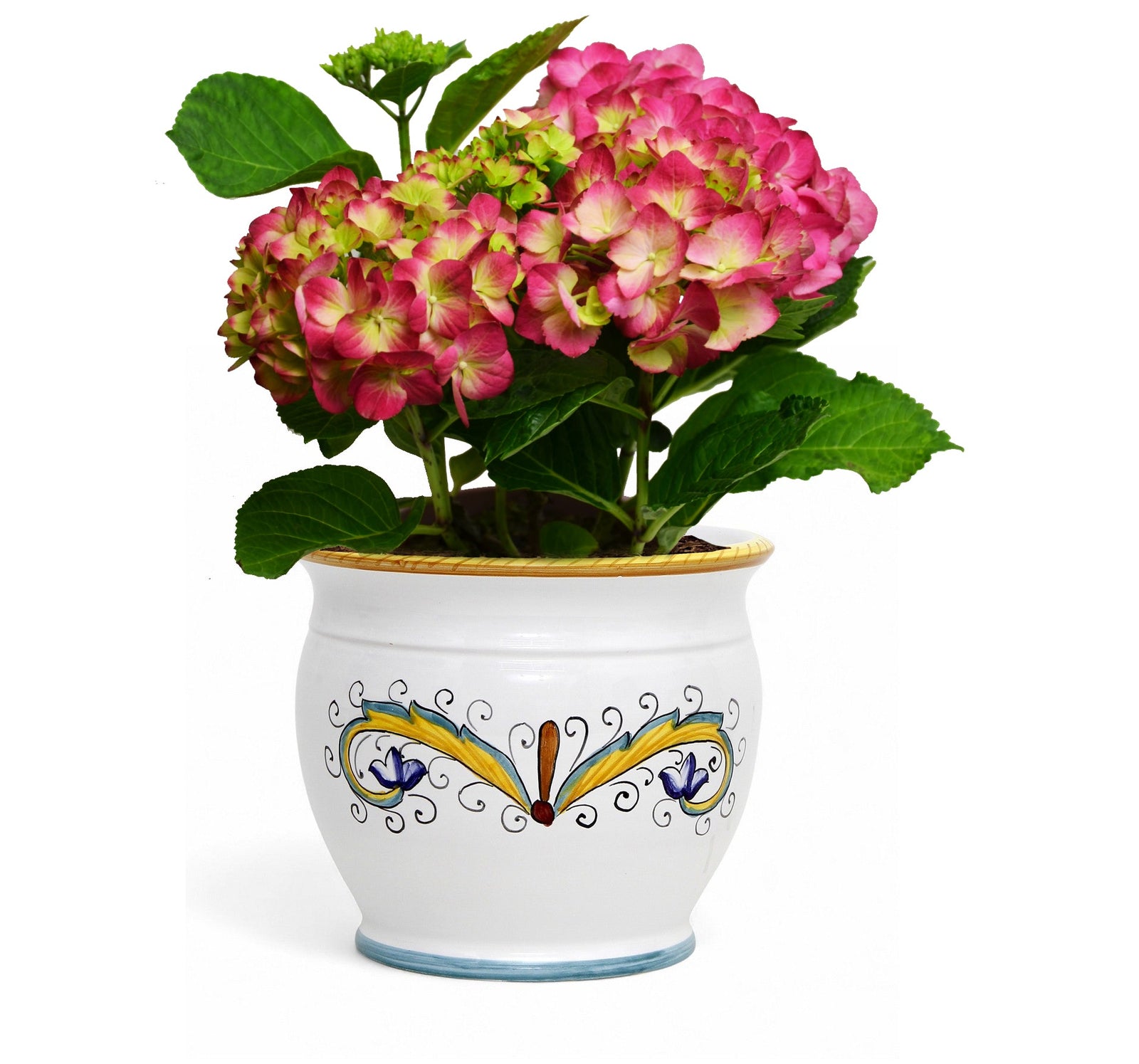 DERUTA PERUGINO: Outlet Special! Indoor-Outdoor Cachepot/Planter (Medium)