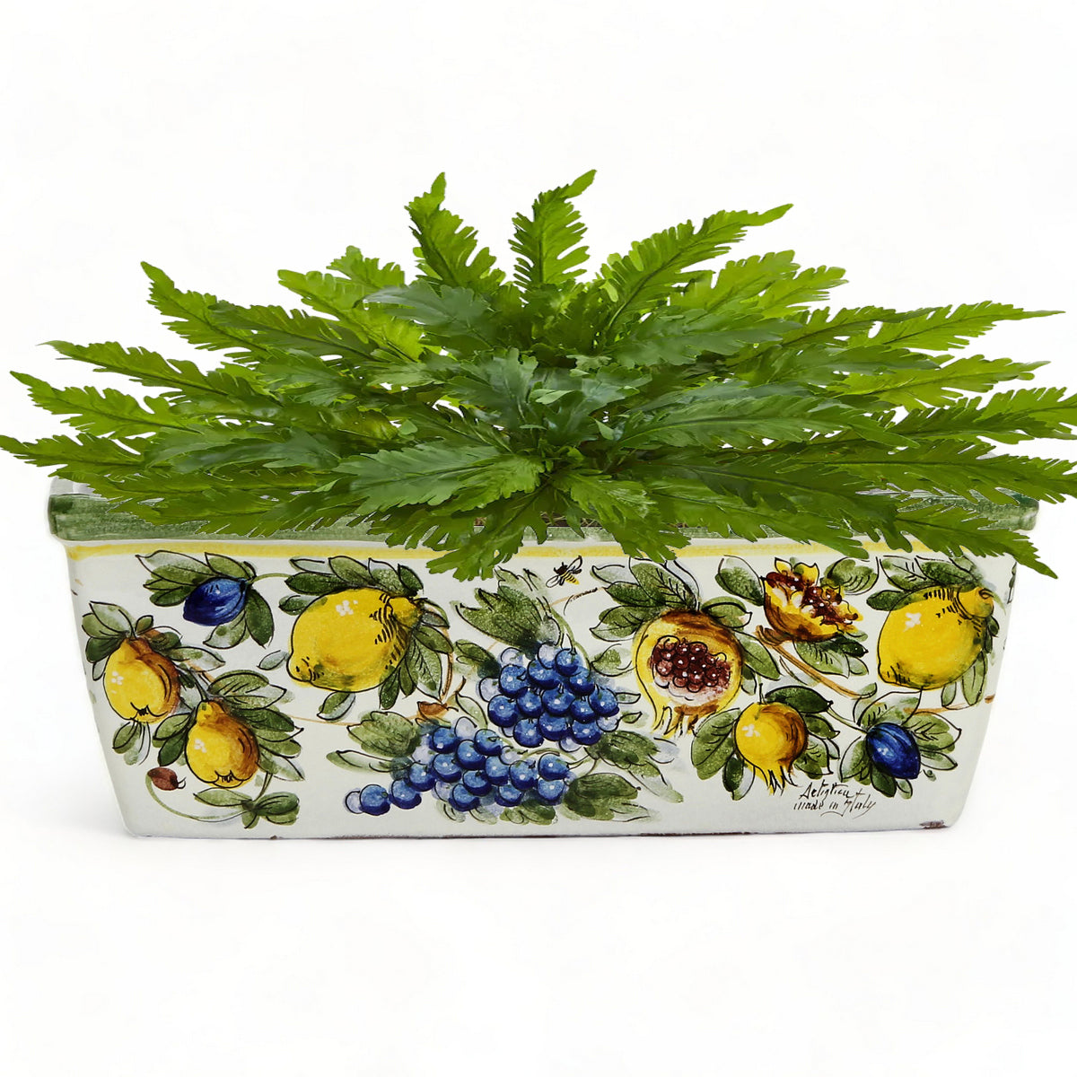 rectangular ceramic indoor planter TOSCANA PLANTER: Rectangular Tuscan Jardiniere - Strong Terracotta ind