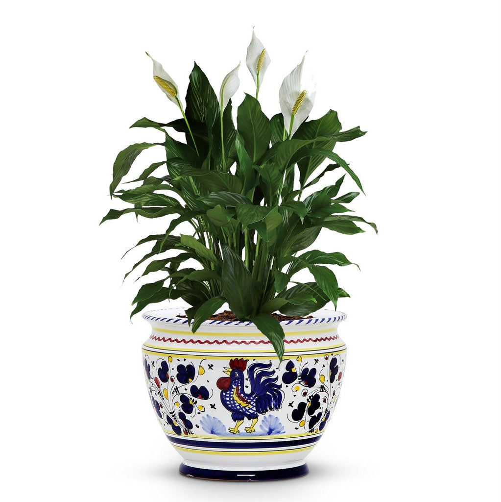ORVIETO BLUE ROOSTER: Luxury Cachepot Planter Small - Artistica.com