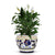 ORVIETO BLUE ROOSTER: Luxury Cachepot Planter Small - Artistica.com