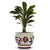 ORVIETO RED ROOSTER: Luxury Cachepot Planter Small - Artistica.com