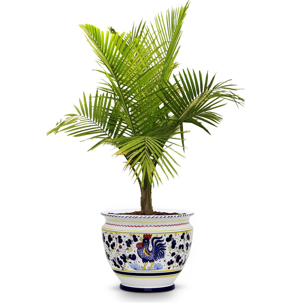 ORVIETO BLUE ROOSTER: Luxury Cachepot Planter Large - Artistica.com