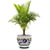 ORVIETO GREEN ROOSTER: Luxury Cachepot Planter Large - Artistica.com