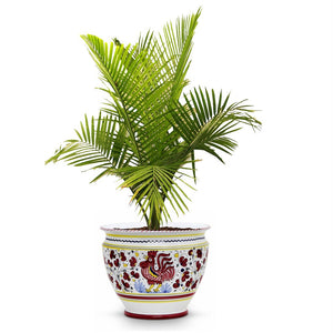 ORVIETO RED ROOSTER: Luxury Cachepot Planter Large - Artistica.com