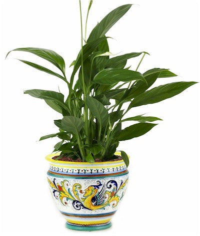 RAFFAELLESCO: Luxury Cachepot Planter LARGE - Artistica.com