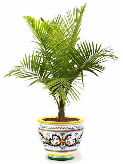 RICCO DERUTA: Luxury Cachepot Planter LARGE - Artistica.com