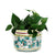 ORVIETO GREEN ROOSTER: Cylindrical Cover Pot - Cachepot Planter (Small) - Artistica.com