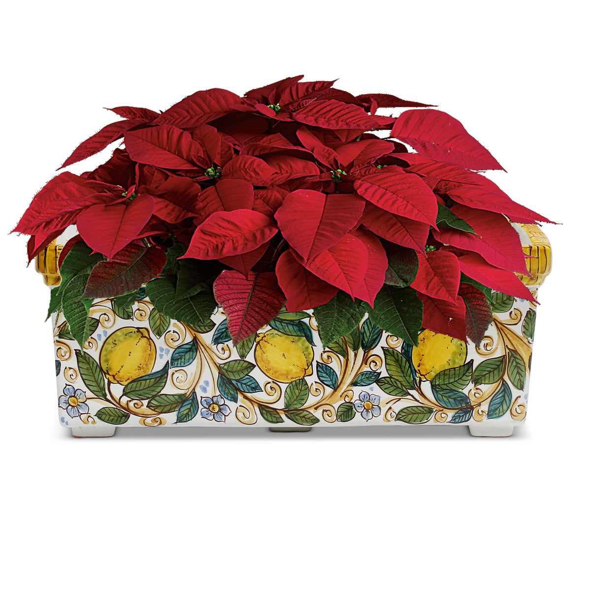SICILIA: Rectangular Jardiniere from Caltagirone Sicily (Indoor-Outdoor) - Lemon Design - Artistica.com