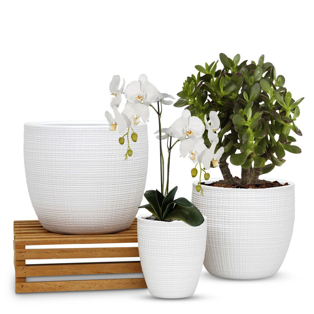 ELEGANTE: Corteza - European Style Small Flower Pot Panna White (5.5"H.) - Artistica.com