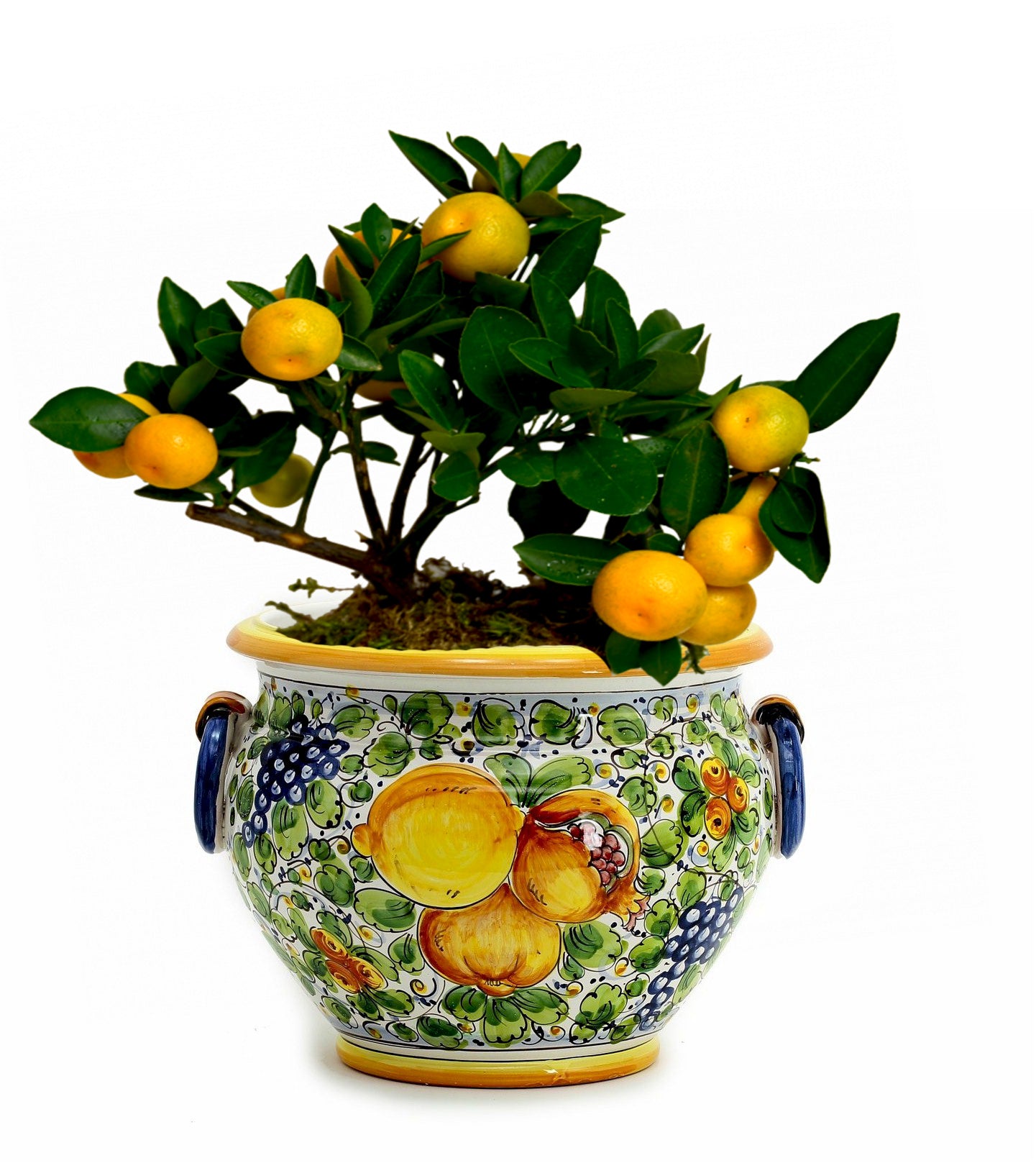 TUSCANIA: Round Tuscan cachepot with side rings (Small 13" Diam.) - Artistica.com