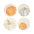 VIETRI: Pumpkins Assorted Salad Plates - Set of 4 - Artistica.com